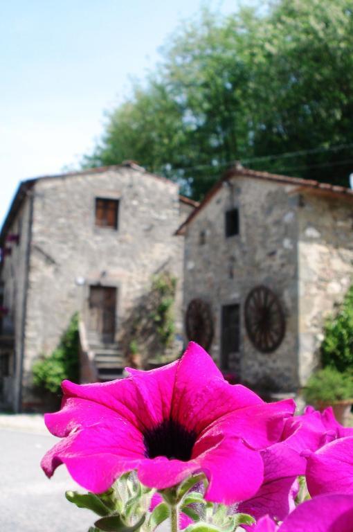 Ristorante Milano Hotel Borgo a Mozzano